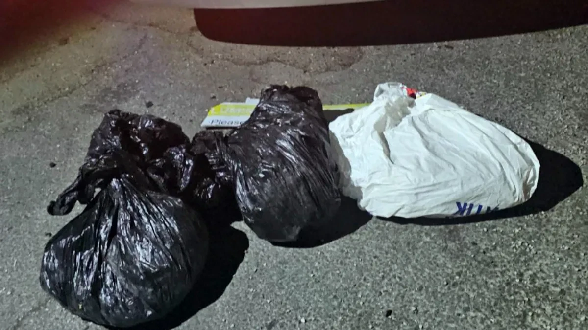 Uhapšeni sa 75 kilograma droge u "mercedesu":  Detalji sa saslušanja dvojice osumnjičenih