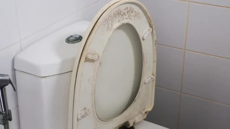 Iz sve snage trljate, ali se žutilo ne skida? Za fleke u WC šolji vam neće pomoći ni izbeljivač, samo ovaj sastojak skida sve kao od šale 
