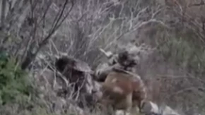 Strani plaćenici odbili direktno naređenje! Šok vest sa fronta