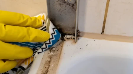 Ova caka rešava problem vlage i buđi u kupatilu: Rešenje je trajno, a koštaće vas 50 dinara