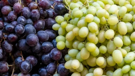 Crno ili belo grožđe – jedna vrsta ima važnu prednost, a mnogi to ne znaju