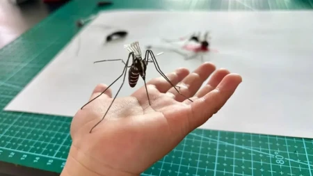 Naučnica namerno pretrpi 500 ujeda komaraca nedeljno: Evo zbog čega
