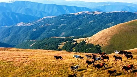 Raj za oči i dušu, ušukano na obroncima Stare planine: Retko ko zna za ovaj skriveni biser u Srbiji, prava lepota