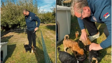 Vučić udomio četiri predivna psa, sad pita narod: Možete li mi pomoći sa izborom imena?