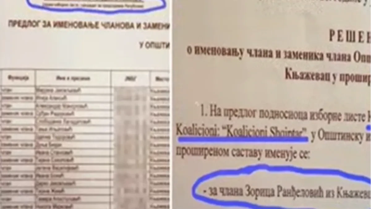 Jedna Zorica, dve političke adrese i veza sa Demokratskom strankom!
