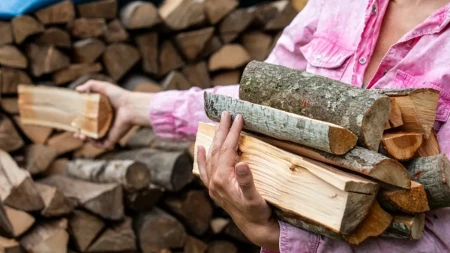 Drva su pod nadstrešnicom, a ipak povlače vlagu i buđaju: Greška je u tome kako ste složili prvi red