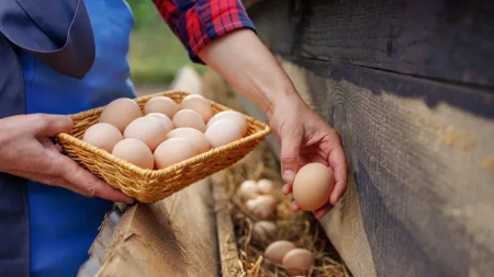 Teško je čak 1,4 kilograma i može da zameni više od 20 kokošjih jaja - znate li kako se sprema