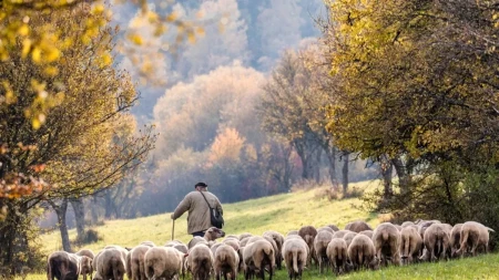 Naši stari su verovali da vetar ima duhovnu funkciju: Ovako su mu pevali, a razlog će vas iznenaditi