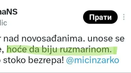"Hoće da biju ruzmarinom"?! Blokaderi su načisto poludeli, pogledajte kakve budalaštine šire po mrežama!