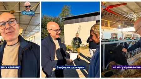 Pronašao sam svoju kravicu! Vučević obišao gazdinstvo u Bačkoj Palanci, vrednoj Sofiji doneo i poklon: U štali ih je čak 400, a Bikica ga je posebno oduševila (VIDEO)
