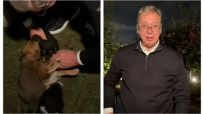 "Maza i Lunja najviše jedu, sve pojedu za dva minuta" Vučić: Vi ste izabrali imena... zahvaljuju vam se 