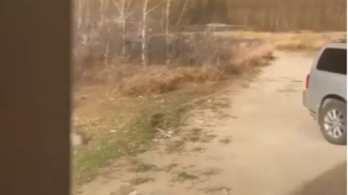 Horor u vojnoj bazi, aktiviran "narandžasti kod": Kanađani broje mrtve! (VIDEO)
