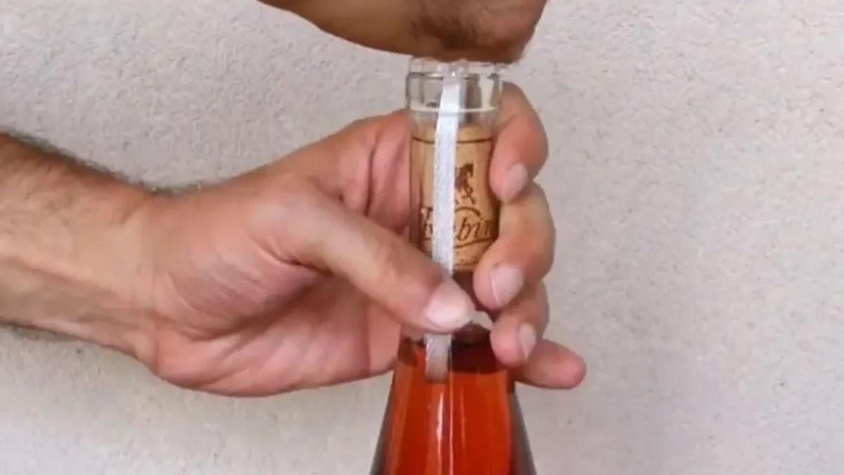Pampur vam je upao u bocu? Možete ga izvaditi za manje od deset sekundi, pogledajte ovaj fantastičan trik i otkrijte kako! (VIDEO)