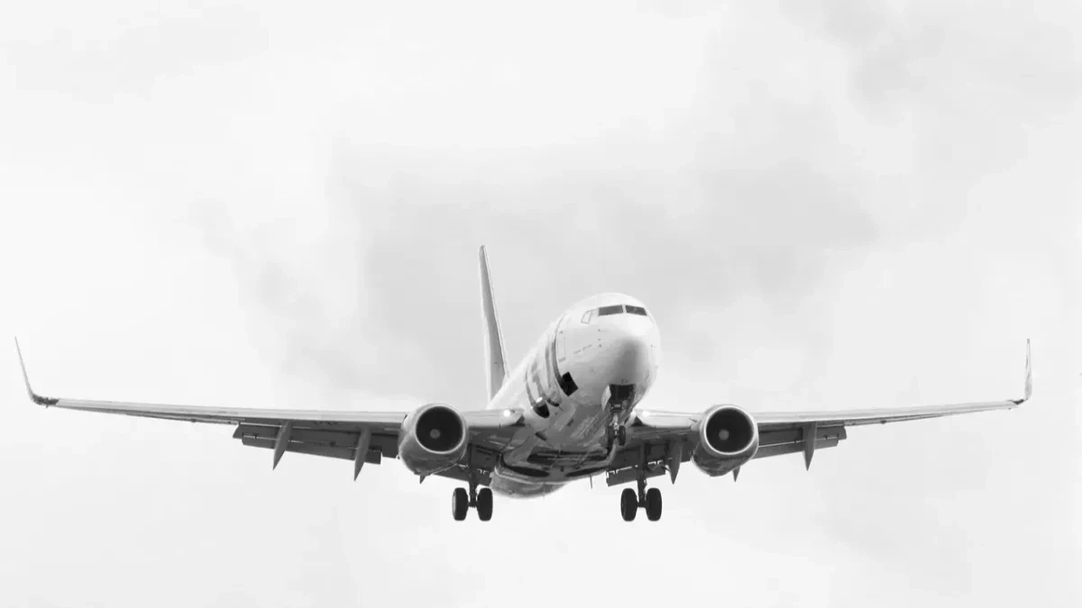 „Mislila sam da ćemo umreti“ Dramatična evakuacija u avionu izazvala opšti haos - putnici su mogli da izađu samo na jedan način