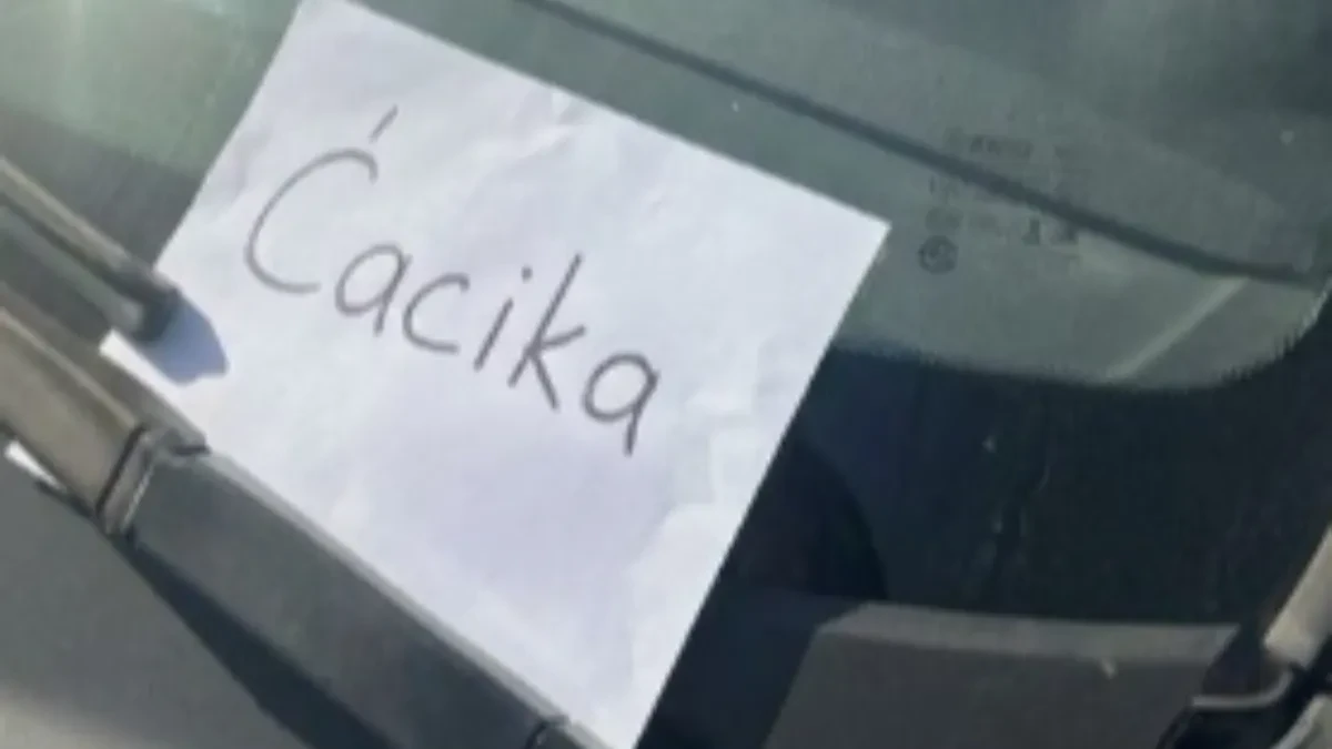 Javno etiketirana zbog političkog stava! Vratila se sa bebom iz Doma zdravlja i zatekla poruku koju su joj blokaderi ostavili na automobilu