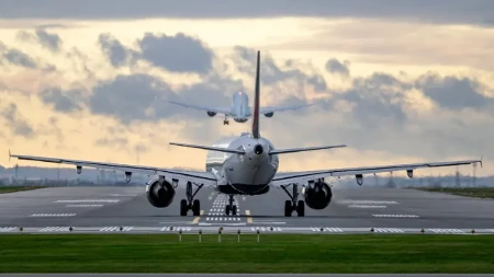 Panika u avionu: Zmija pronađena u kabini, let otkazan, a onda je usledio još veći šok