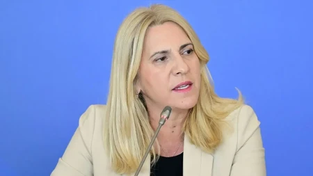 Cvijanović: Narodna skupština čuva i brani interese Republike Srpske