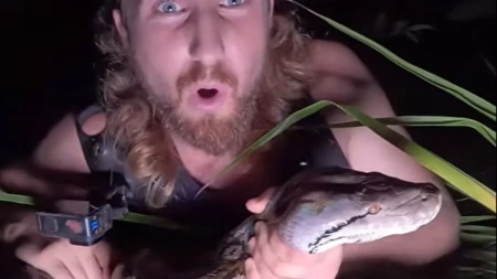Džinovska zmija od 5,6 metara uhvaćena u džungli! Lovci krenuli u akciju nakon dojave da je napala mačku