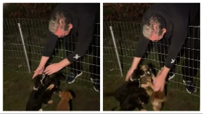 Vučić u ranu zoru posetio svoje štence: "Noćas, posle svih scena užasnog nasilja mir sam pronašao u igri sa njima"