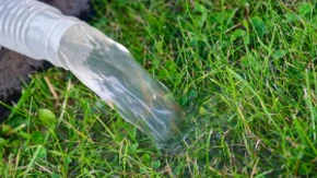 Bolje rešenje za baštu od trave - biljka koja traži manje zalivanja izgleda prelepo