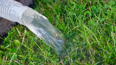 Bolje rešenje za baštu od trave - biljka koja traži manje zalivanja izgleda prelepo