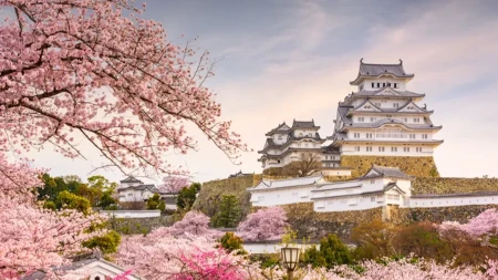 Japan nudi devet miliona praznih kuća, neke i besplatno - svi potrčali po svoju, pa shvatili šta ih čeka