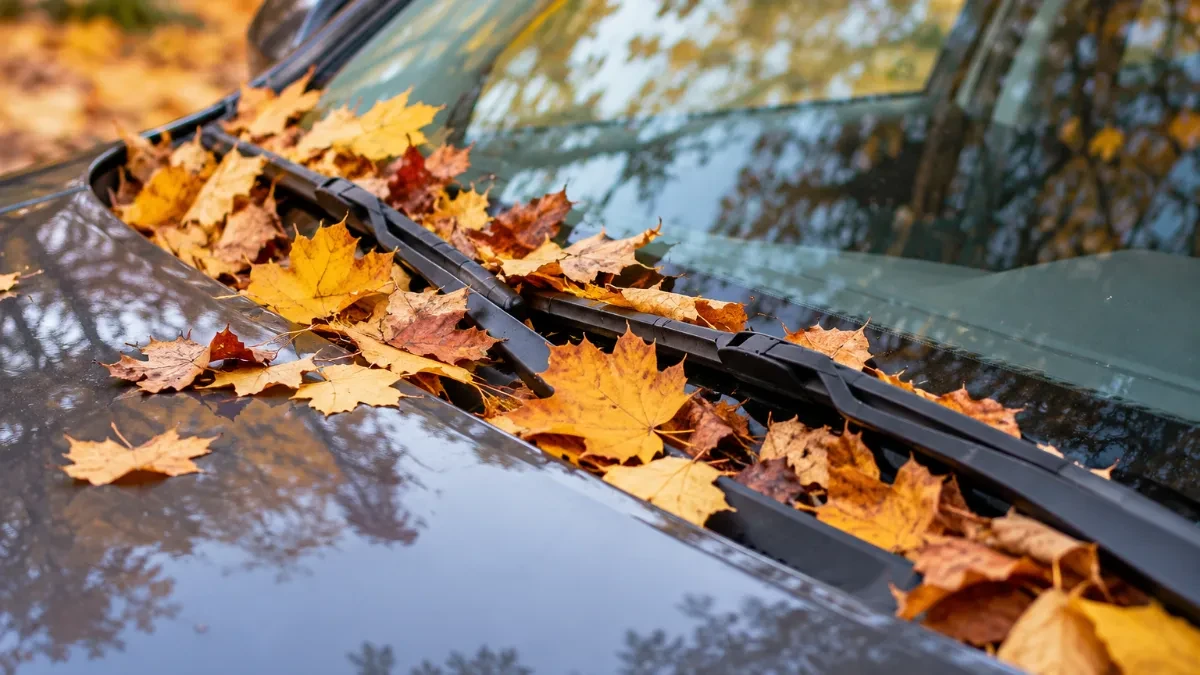 Vozači, obratite pažnju! Lišće na automobilu može izazvati kvar od nekoliko hiljada evra, a ovo mesto svi zanemaruju