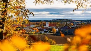 Kineski horoskop za novembar: Bivoli broje novac, Zmije pronalaze mir