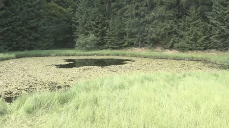 Ovo jezero nema obale, a legenda kaže da su u njega upali svatovi i utopili se: Skriveni biser Golije izgleda kao sa razglednice