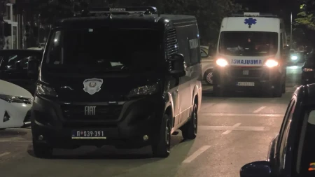 Majku brutalno ubio, pa delove tela stavio u zamrzivač?! M. S. određen pritvor do 30 dana