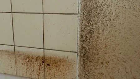 Otapa i onu najgoru masnoću, skida sve kao od šale: Kako očistiti kuhinjske pločice, biće kao nove