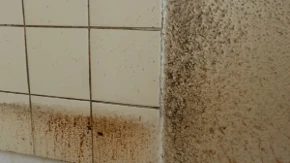 Otapa i onu najgoru masnoću, skida sve kao od šale: Kako očistiti kuhinjske pločice, biće kao nove