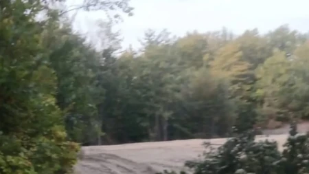 Blokirali put u srpskom selu: Deca ne mogu da idu u školu, a stari kod lekara