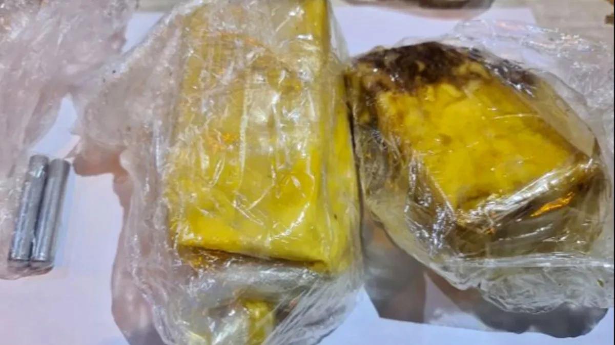 U rancu nosili kilogram kokaina i smesu nalik eksplozivu! Policija uhapsila dvojicu kod Novog Pazara