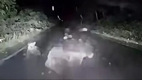 Medvedica napala auto usred puta! Vozač pretrnuo od straha, a onda je zver krenula da uništava haubu