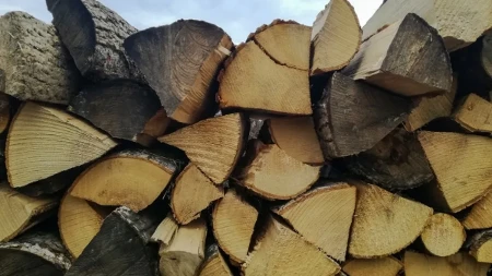 Mnogi Srbi prave istu grešku - kako pravilno odlagati drva, a da ne budu vlažna