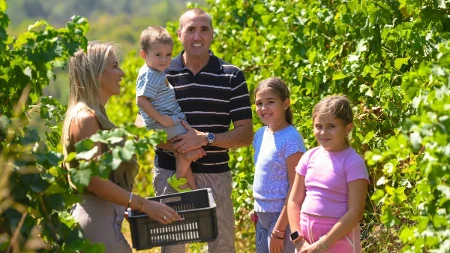 U susret sajmu Wine Vision by Open Balkan 2026: Od čokota, iz ljubavi, za generacije: sigurnost od vinograda do boce