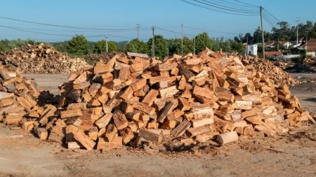 Pocepana ili metarska drva - šta se više isplati i gde možete da uštedite?