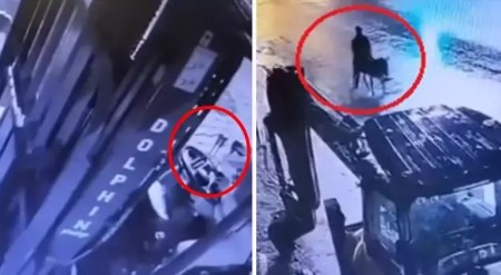 UPAO VILJUŠKAROM U ZLATARU Ukrao 150 grama zlata pa pobegao na magarcu!