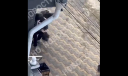 NAORUŽAN STUDENT UPAO U RUSKU ŠKOLU! Živote spasao čuvar, ali je on ubijen! Policija munjevito zgrabila napadača (VIDEO)