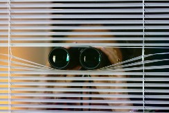 "SIGURNA SAM DA ME ŠPIJUNIRA, ŽELUDAC MI SE ZGRČI KAD GA VIDIM" Žena opisala čudno ponašanje komšije, mreže se usijale od komentara 