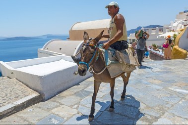 HIT PRAVILO ZA TURISTE Ako hoćete da jašete magarca na Santoriniju morate da imate OVOLIKO kilograma 