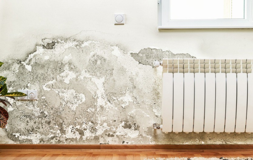 Buđ na zidu mi se više ne javlja: Stavila sam ovo u svaku sobu i vlaga je nestala