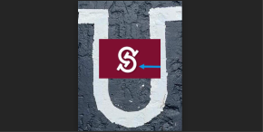 Zašto logo sa FTN neodoljivo podseća na simbol ustaštva?