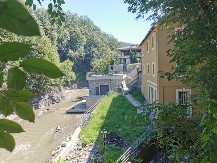 UŽAS U IVANJICI Otrovani psi završili u reci