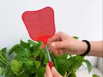 SRBI IMAJU VIŠE OD 100 NAZIVA ZA MUHOLOVKU Od “mlatilice za muve” do “muvopiča” - SMEH ZAGARANTOVAN