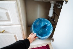 SRBI PRAVE FATALNU GREŠKU U KUHINJI Ako držite kese ispod sudopere, odmah ih bacite! 