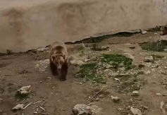 MEČKA DUNJA OTKRILA DOKLE ĆE TRAJATI ZIMA Ovo nas sve zanima - spremite se šta ćete pročitati