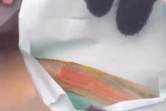 "LEPO SE OTVORIO VAŠ TATKO PICULA" Sada je sve jasno! Blokaderi debelo plaćeni da sprovedu obojenu revoluciju u Srbiji! (VIDEO)