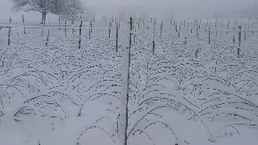 Sneg okovao Ivanjicu: Putevi prohodni ali ponovo manji problemi sa strujom 